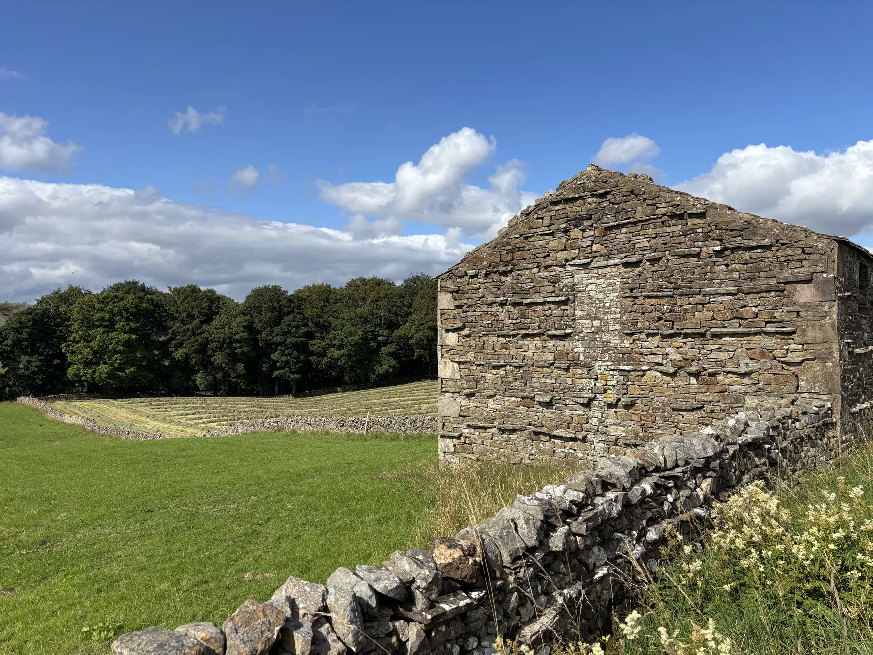 A stone Dales village on a private All Creatures Great & Small tour